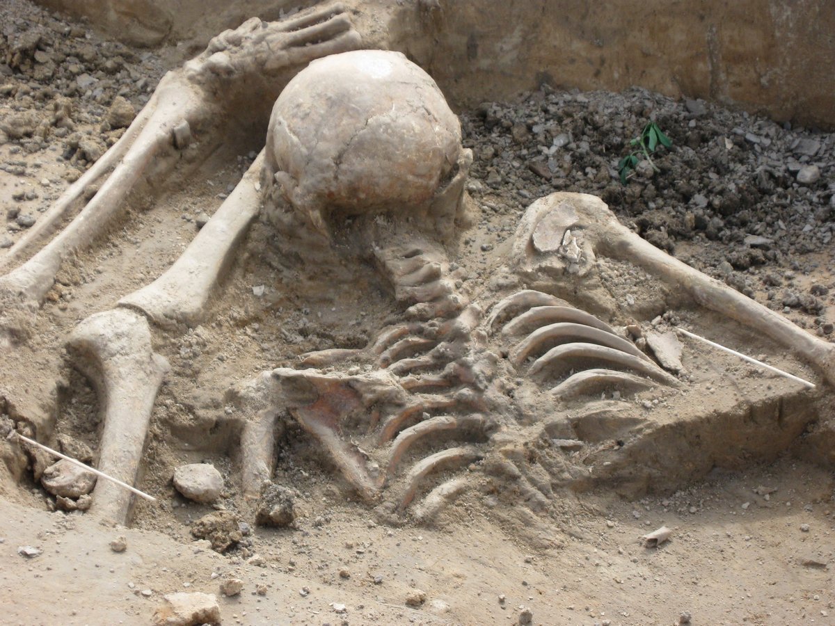 Wykopaliska Archeologiczne na Reducie Ordona 2013